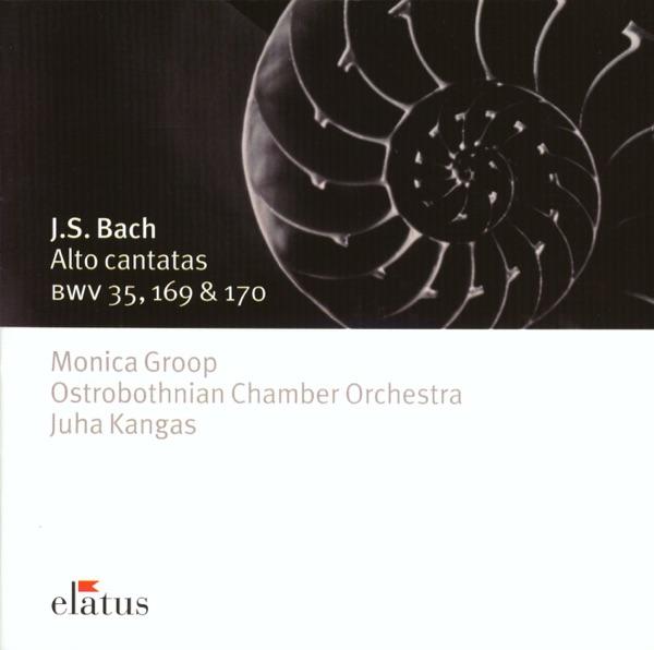 Cantata BWV 35: Geist und Seele wird verwirret - I. Sinfonia