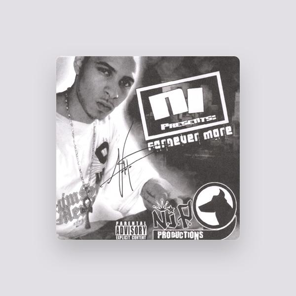 Nothing Is Permanent (N.I.P.)