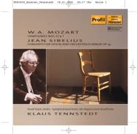 Violin Concerto In D Minor, Op. 47: III. Allegro Ma Non Tanto