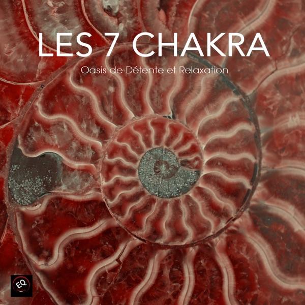 7ém - Sahasrâra Chakra, Coronal (Conscience cosmique)