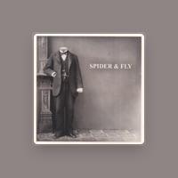 Spider & Fly
