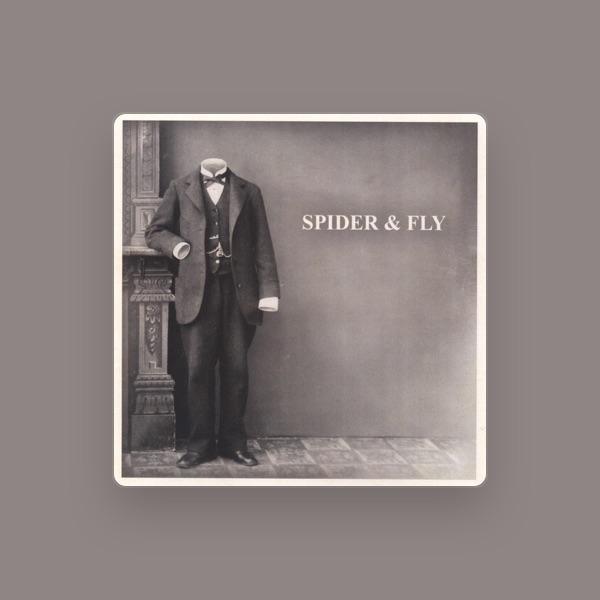 Spider & Fly