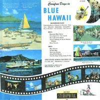Now It's Time to Say Aloha to You (Instrumental)
