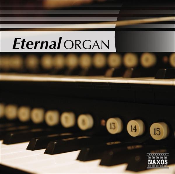 6 Consolations: No. 3 in D-Flat Major, S. 172 / R12 (Arr. Schaab-Gottschalg for Organ)