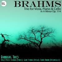 Trio for Viola, Piano & Cello in A Minor, Op.114: IV. Allegro