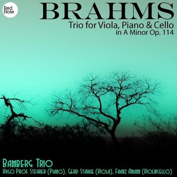 Trio for Viola, Piano & Cello in A Minor, Op.114: II. Adagio