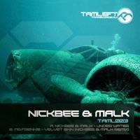 Velvet Skin (Nickbee & Malk Remix)