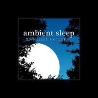 The Sleep Factory