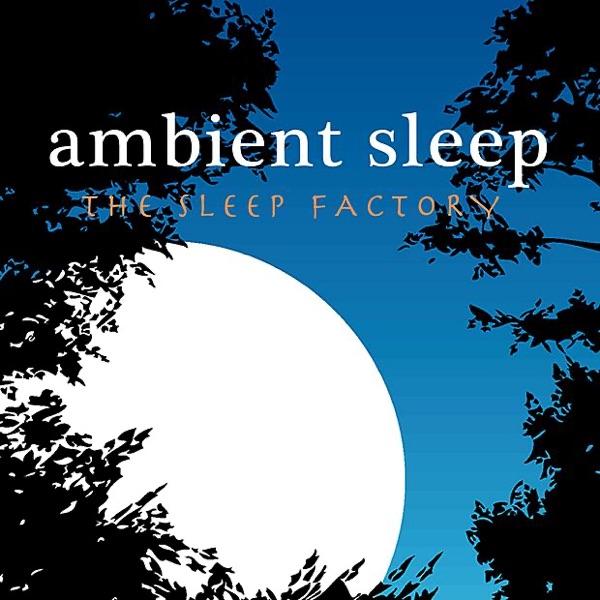 Binaural Sleep