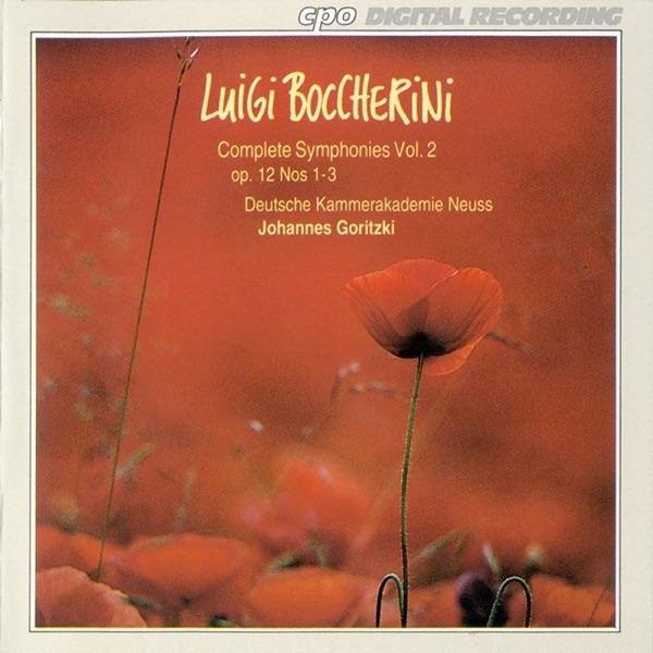 Symphony in E flat major, Op. 12, No. 2, G. 504: II. Grave