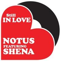 Still In Love (Tom Novy Remix Instrumental)