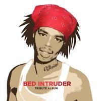 Bed Intruder Song