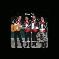 Gipsy Fint