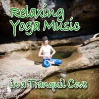Tranquil Musical Cove - Gentle and Meditative Nature Sound With Music