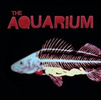 Aquarium Dream