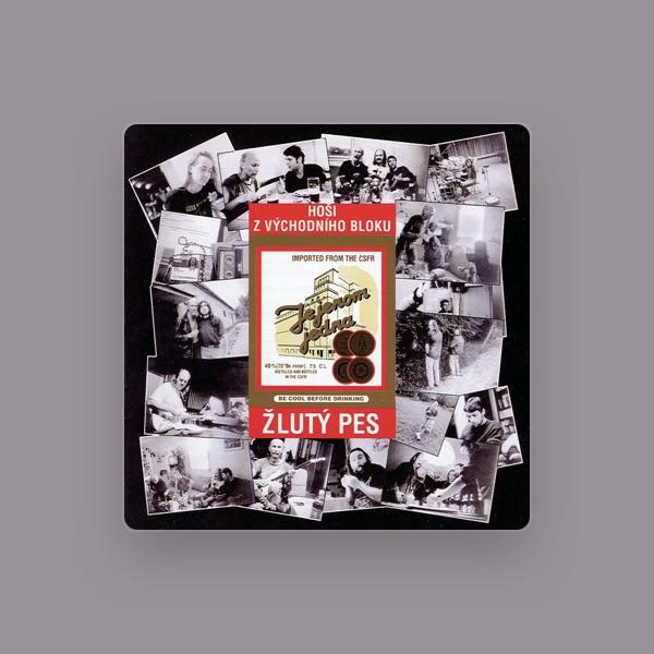 Zluty Pes