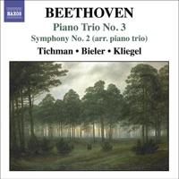 Symphony No. 2 in D Major, Op. 36 (Arr. For Piano Trio): IV. Allegro Molto