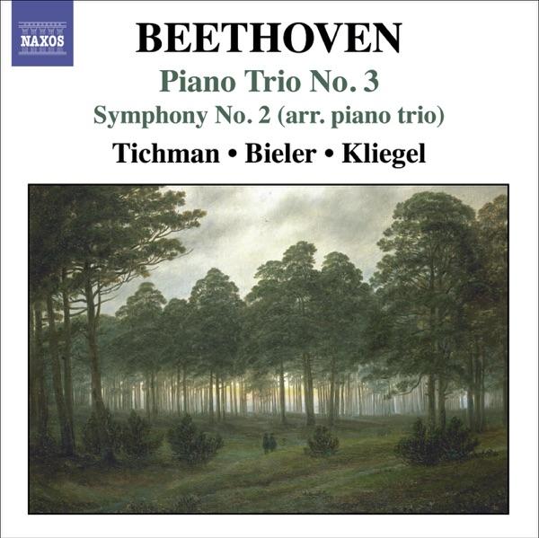 Symphony No. 2 in D Major, Op. 36 (Arr. For Piano Trio): IV. Allegro Molto