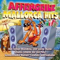 Sierra Madre del Sur (1-2-3-4 Fox Mix)