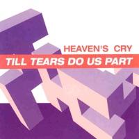 Till Tears Do Us Part (Flash Harry Mix)