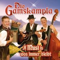Dann nehm i mei Harmonika