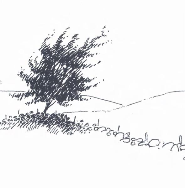 Time Passes in the Trees: in paradisum