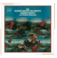 String Quintet No. 1 in F Major, Op. 88: I. Allegro non troppo ma con brio