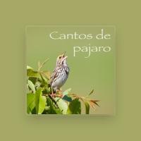 Cantos De Pajaro