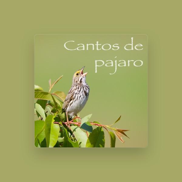 Cantos De Pajaro