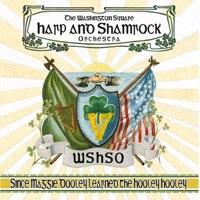 Arrah, Come In Out of the Rain, Barney McShane (Song) [feat. Donie Carroll]