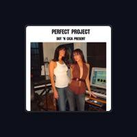 Perfect Project