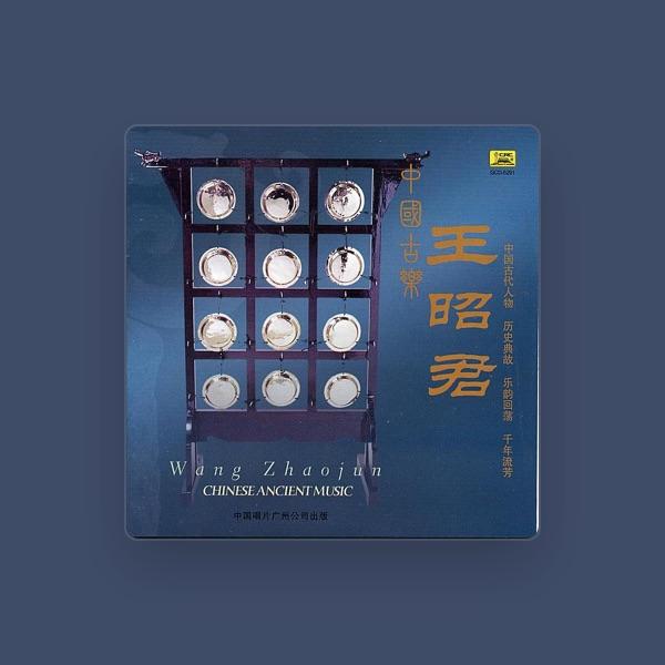 Central Conservatory of Music Folk Orchestra