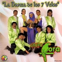 Adiós Compañeros