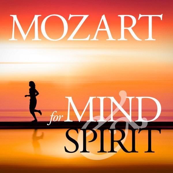 Sonata No. 32 in B-Flat Major for Violin and Piano, K. 454: III. Allegretto