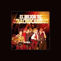 Los Machucambos