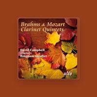 Bingham Quartet