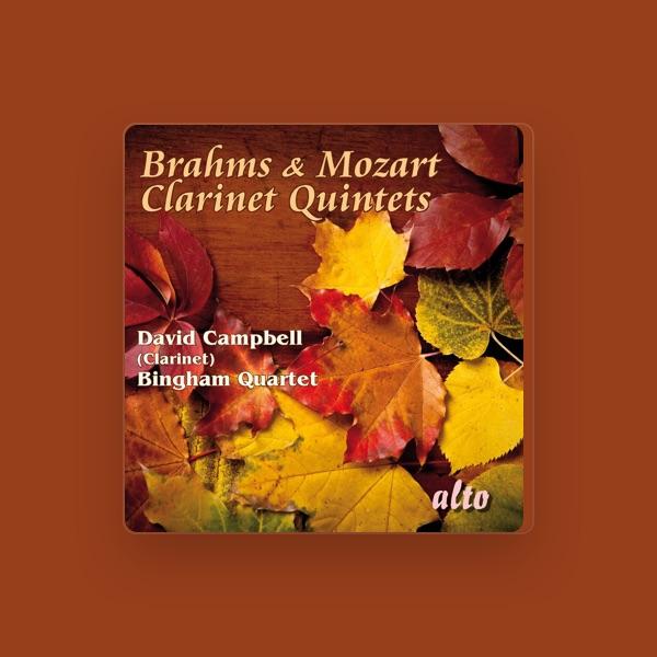 Bingham Quartet