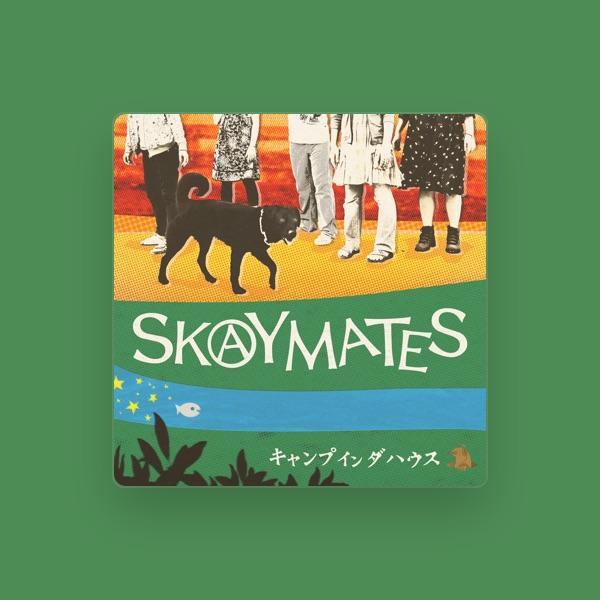 スカイメイツ