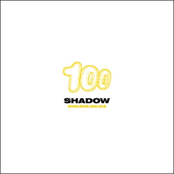 The Shadow (Grooverider Jeep Mix)