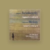 Berliner Symphonisches Orchester