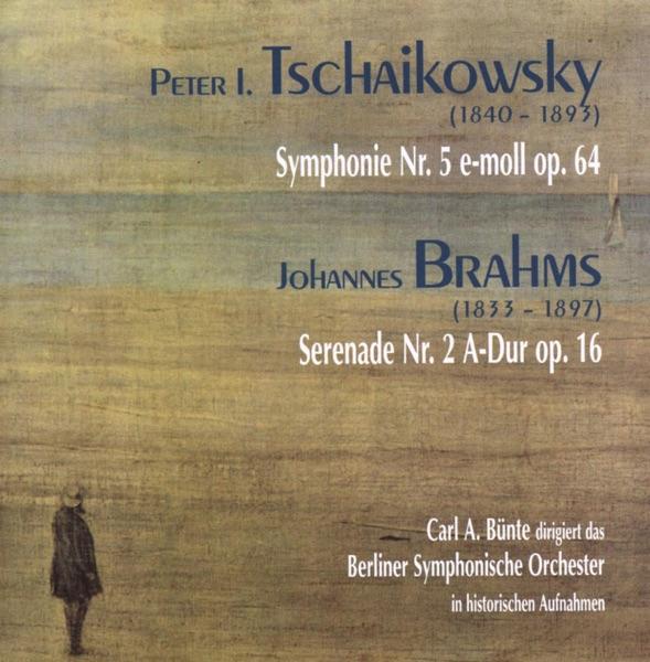 Serenade No. 2, A-Dur, Op. 16: I. Allegro Moderato
