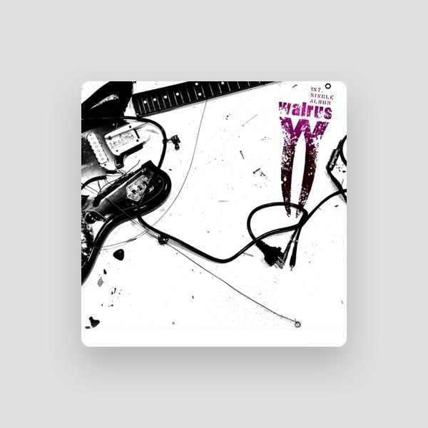 월러스 (Walrus)