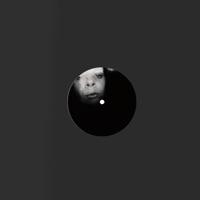 In the Dark