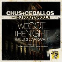 We Got the Night (Patrick M Terrace Remix)