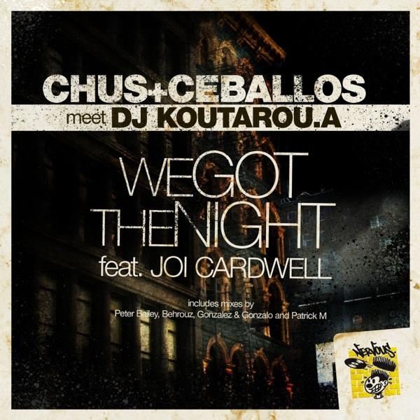We Got the Night (Patrick M Terrace Remix)