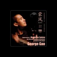 George Gao 高韶青