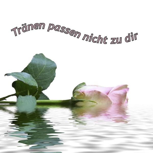 Liebeskummer lohnt sich nicht