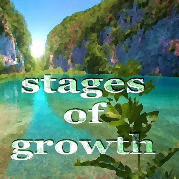 Stages of Growth (Adam Vegys Remix)
