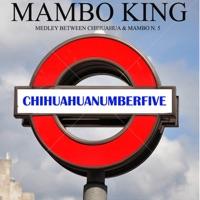 Chihuahuanumberfive (Medley)