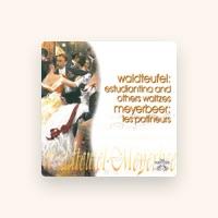 The Waltz Symphony Orchestra